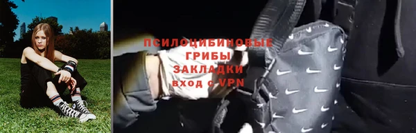 сатива Арсеньев