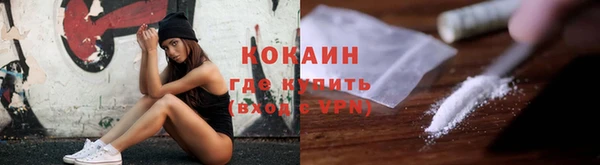 сатива Арсеньев