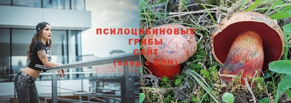 ГАЛЛЮЦИНОГЕННЫЕ ГРИБЫ Армянск