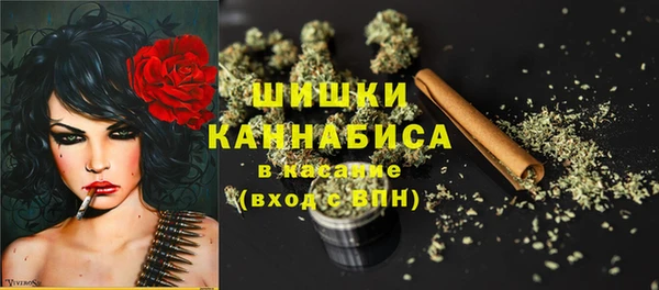 ГАЛЛЮЦИНОГЕННЫЕ ГРИБЫ Армянск