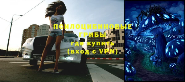 крисы Инта