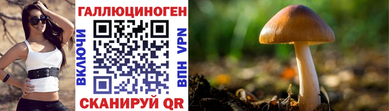 Галлюциногенные грибы Psilocybine cubensis  Вязьма 